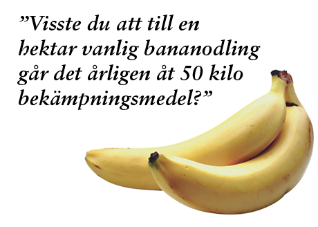 Bananer