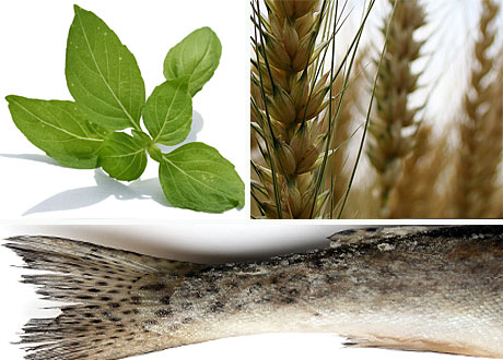 Tre livsmedel: Basilika vete fisk
