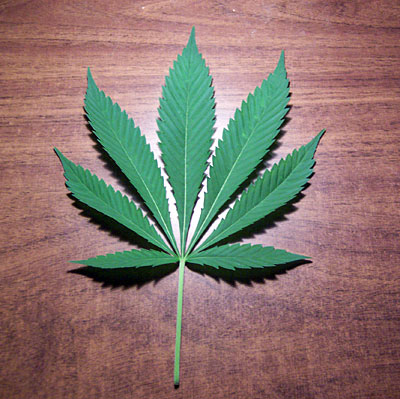 Marijuanablad på träbord.