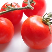 Röda tomater med grön kvist