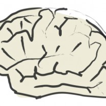 tecknad hjärna