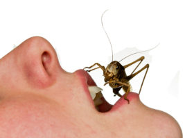 Stor gräshoppa sitter i på mun som gapar