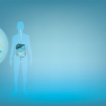 animerad bild mag- och tarmsystem och bakterier
