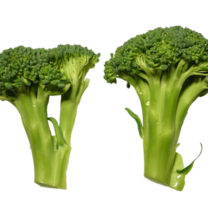 broccoli_Bra_for_magen