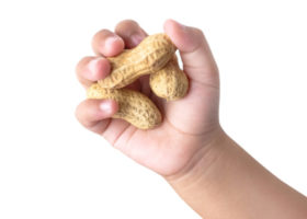 jordnötter i barnhand