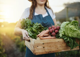 Kvinna håller i trälåda med grönsaker på fält