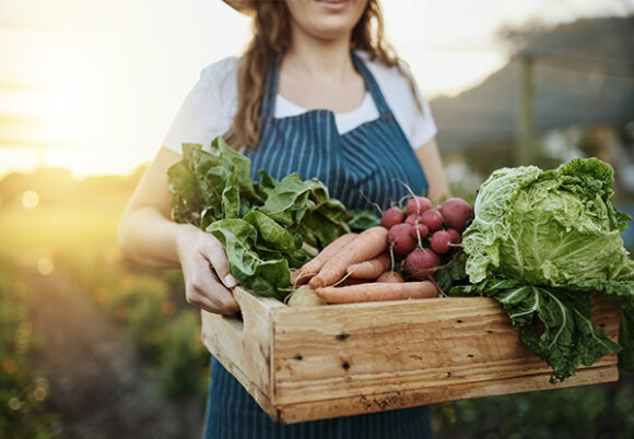 Kvinna håller i trälåda med grönsaker på fält
