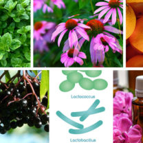 echinacea, oregano, apelsiner, fläderbär, probiotika och aromaterapi