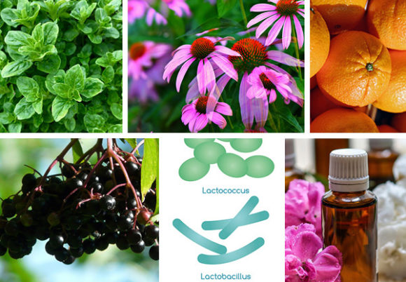 echinacea, oregano, apelsiner, fläderbär, probiotika och aromaterapi