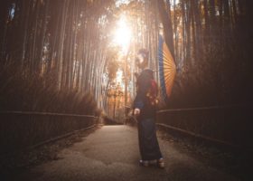 beautiful-japanese-senior-woman-walking-in-the-bamboo-forest-picture-id914969520 (1)