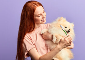 Ung kvinna håller i liten hund och tandborste