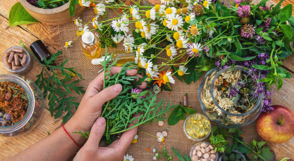 Läkeörter och blommor i en hand