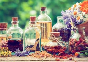 Medicinalväxter i torkad form och i flaskor