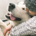 Flicka kramar en vit hund