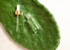Kaktusblad med öppen flaska och pipett ovanpå