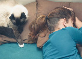 Kvinna sover bredvid vit katt på kudden