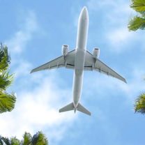 Flygplan fotat mot blå himmel och palmer