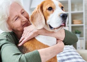 Äldre kvinna kramar om hund