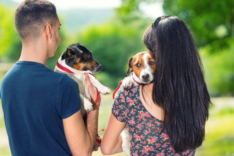 Ungt par bakifrån med varsin liten hund i famnen