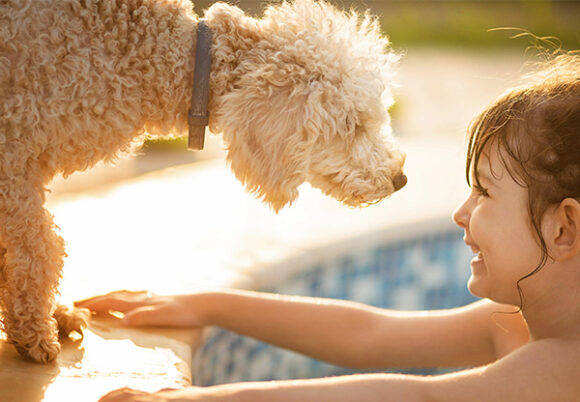 Liten flicka I pool hälsar på hund på poolkanten