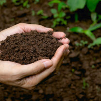 Händer håller i komposterad jord