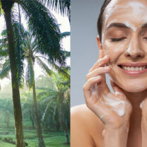 Collage: palmoljeplantage och blundande kvinna som tvättar ansiktet