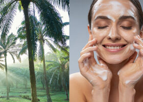 Collage: palmoljeplantage och blundande kvinna som tvättar ansiktet