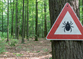 Varningsskylt för fästingar i en skog