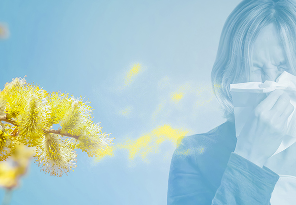 Quercetin kan hjälpa mot pollenallergi