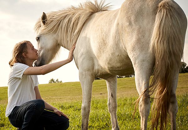 Hästar kan läsa av våra känslolägen – och minns dem