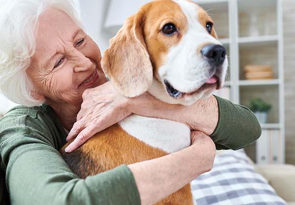 Vårdhundar ökade temperaturen hos äldre