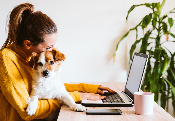 4 hälsofördelar med husdjur på jobbet