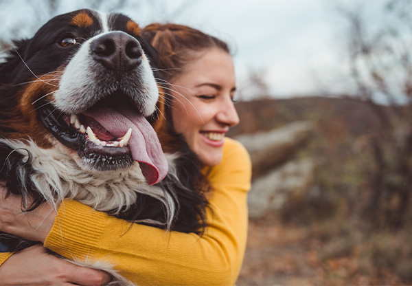Sällskapsdjur – lyckopiller på fyra ben