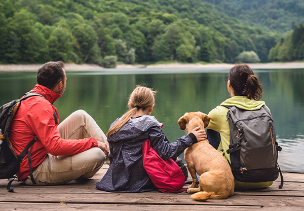 5 tips för en lyckad vandringssemester med din hund
