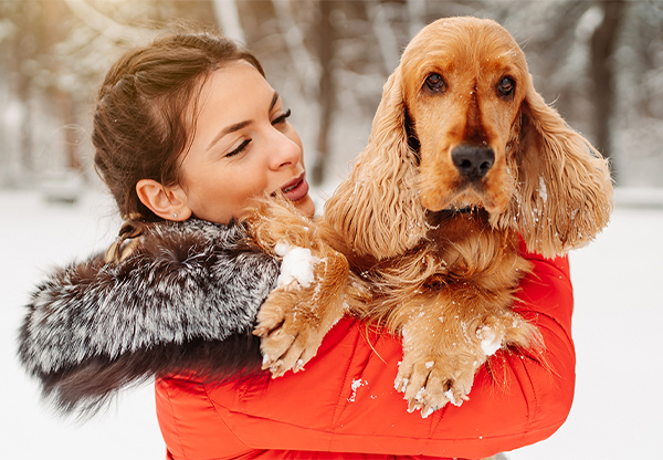 Ta hand om din hunds tassar i vinter