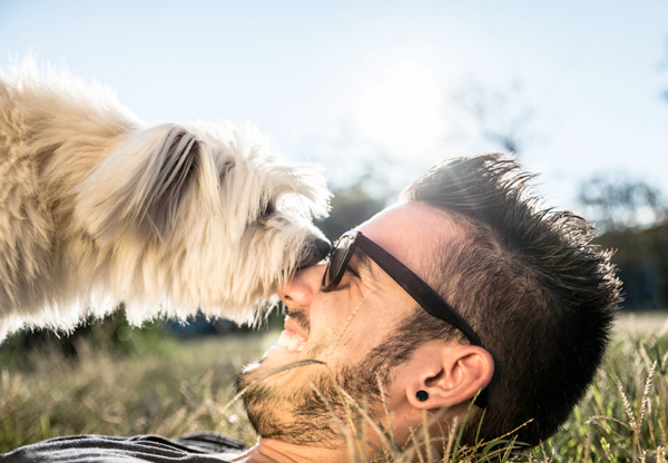 Fler bakterier i skägg än i hundars päls – så håller du skägget fräscht
