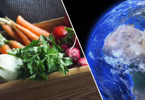 Bästa maten för hälsan och planeten – så behöver vi tänka