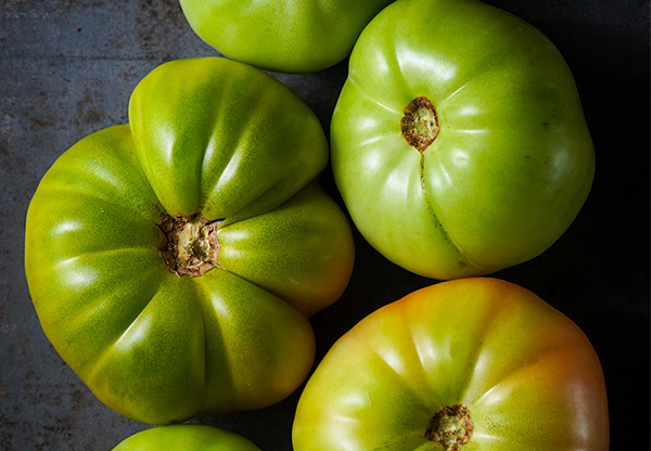 Trädgårdsexperten: Därför ska du ta in dina gröna tomater