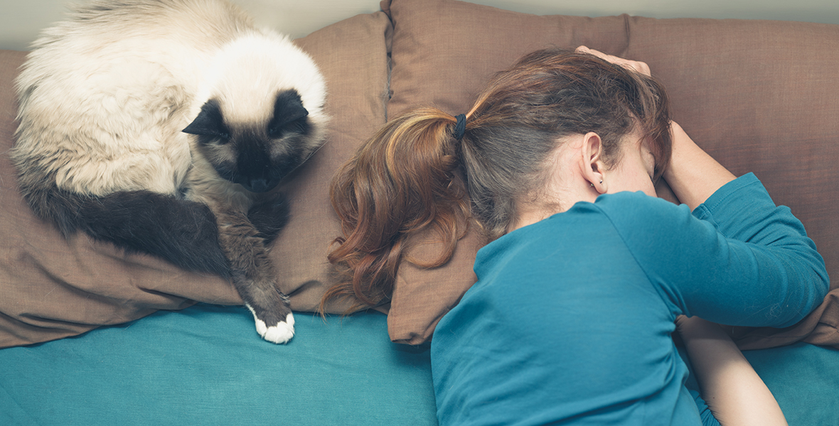 Sovställningen avslöjar ditt husdjurs personlighet