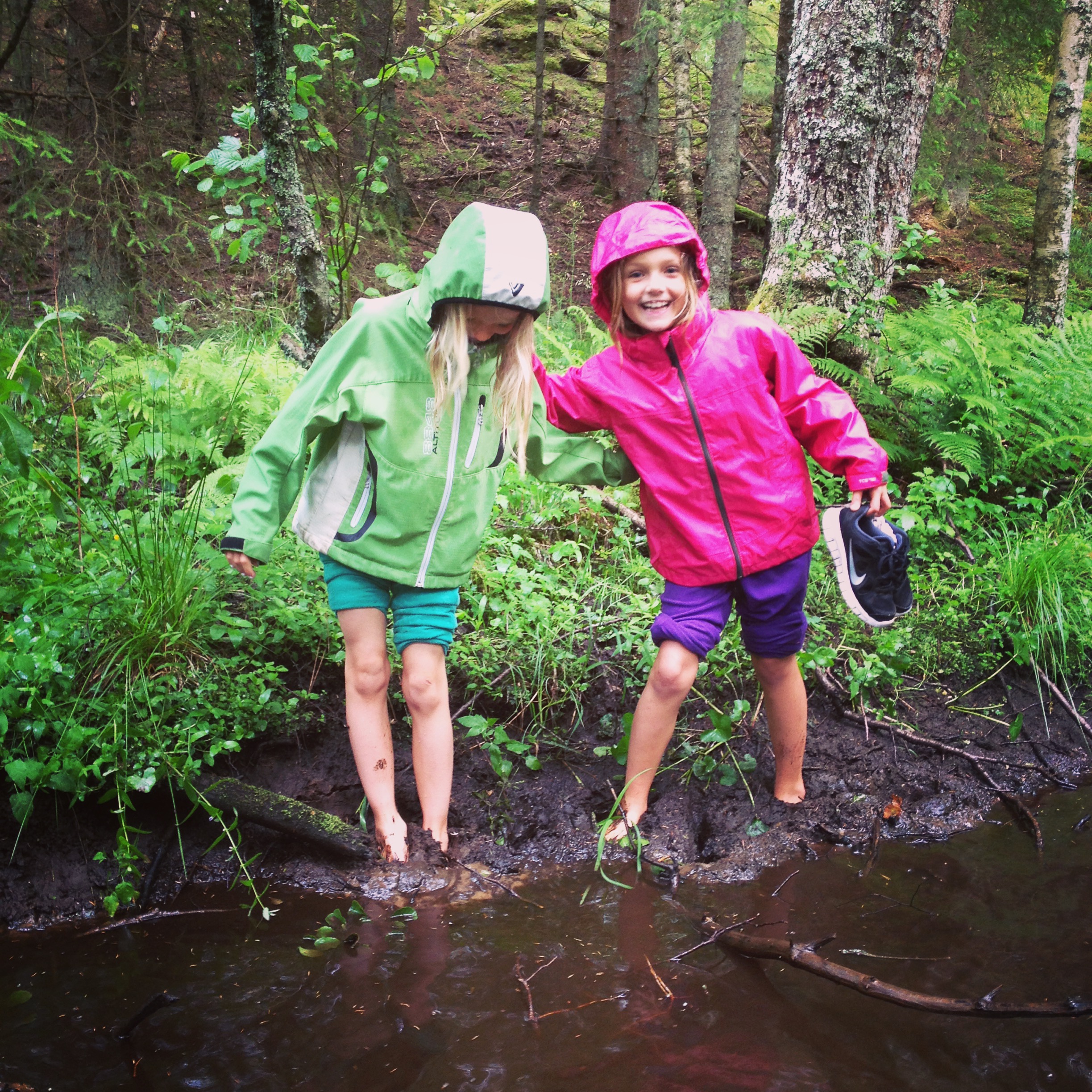 Svensk sommar