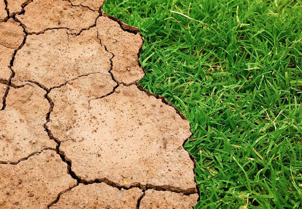 Klimatforskare: ”Samband mellan extremväder och klimatförändringar”