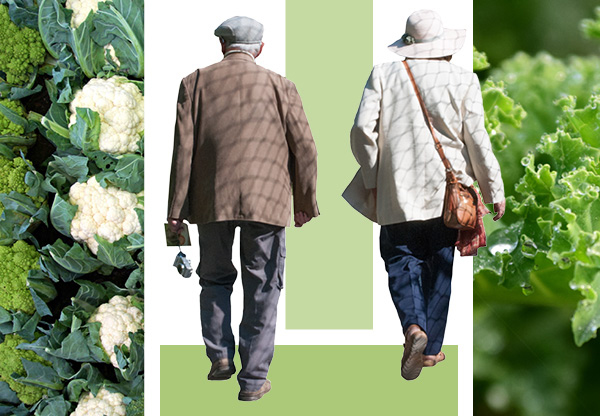 Grönt på tallriken skyddar mot demens på äldre dar