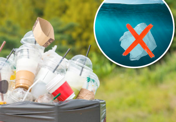 EU förbjuder engångartiklar av plast