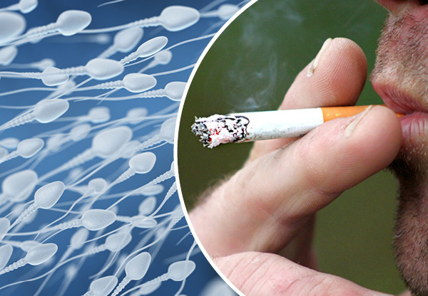 Färre spermier hos barn till rökande pappor