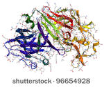 Bild på enzymer