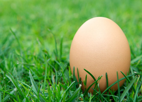 Utomhus-höns och ekofoder viktigast när vi köper ägg i påsk