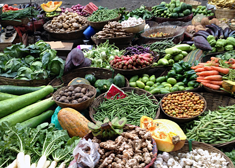 Debattreplik: ”Inte sant att ekologisk odling leder till svält”