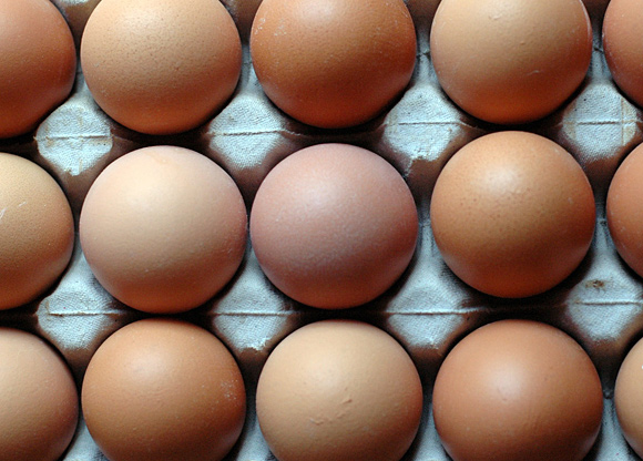 Livsmedelsverket: Dioxinhalten i ekologiska ägg behöver sänkas
