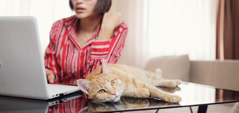 En kvinna framför sin laptop med en rödhårig katt på bordet framför sig.