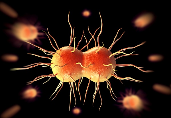 Nya fall av antibiotikaresistens – nu gällande könssjukdomen gonorré